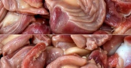 655660776 1468668301538501 310880586295679797 n