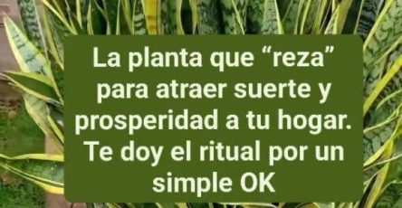 666045690 812134801945127 1228471914564465183 n