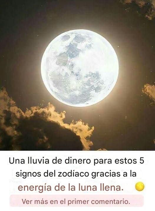 667533886 1683258429498599 8222888072485555527 n