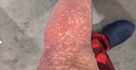 668113355 959386466503538 7652691813894028810 n