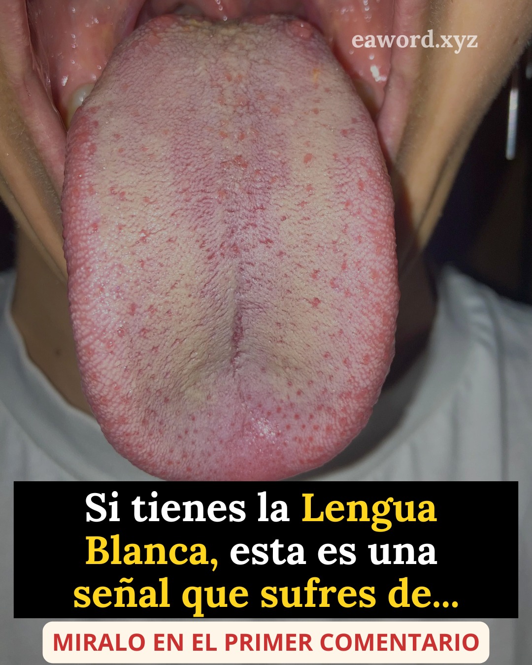 668217417 1743792226819361 6470785840350998031 n