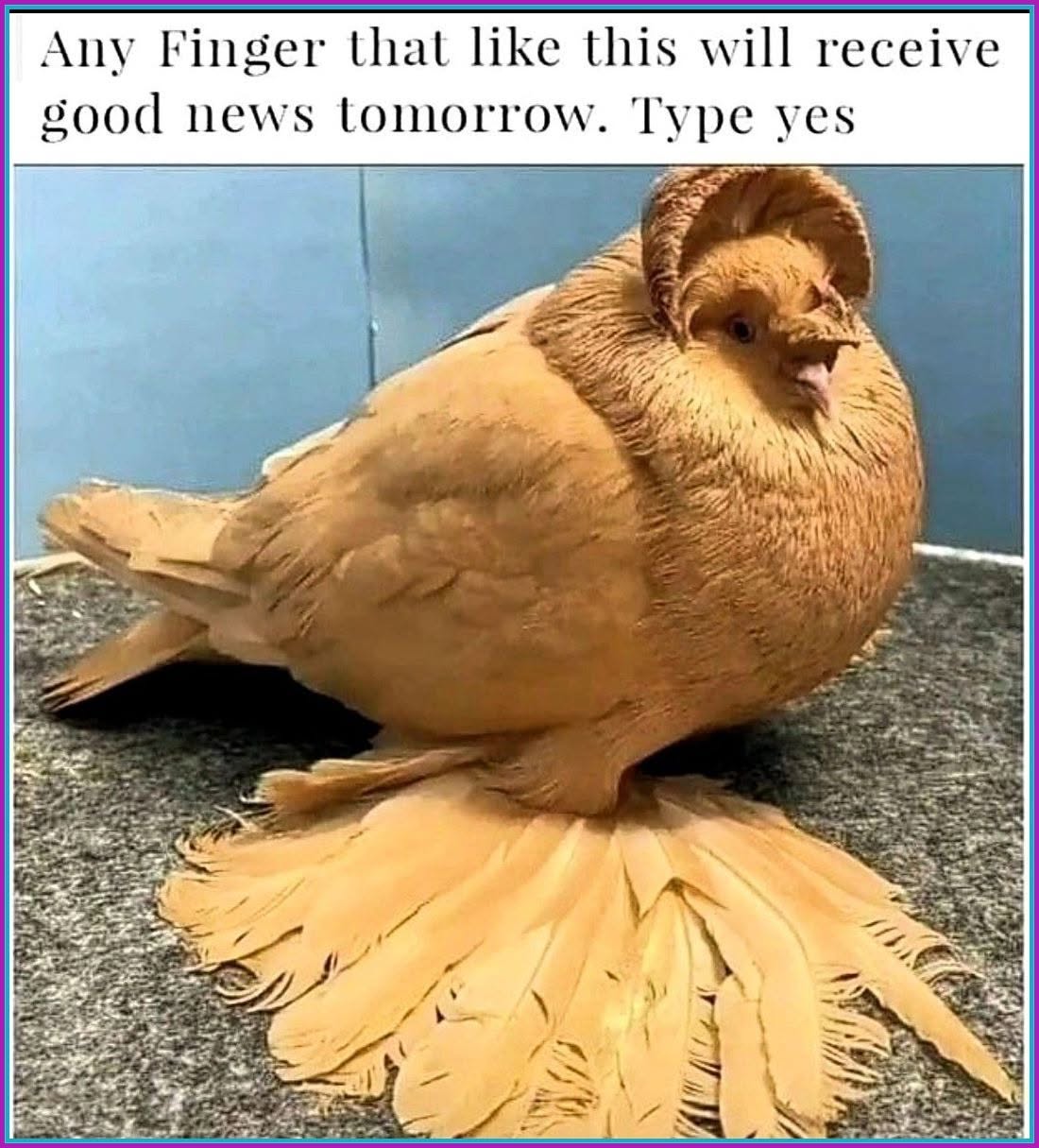 710596556 1020588037315579 4649830626937447649 n